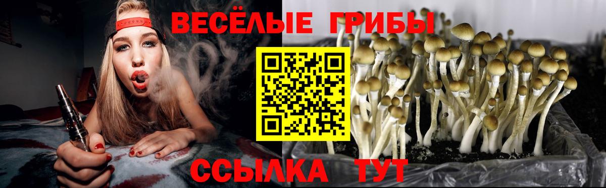 Майский  Псилоцибиновые грибы ЛСД  Вход с VPN  Псилоцибиновые грибы ЛСД 
